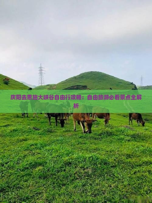 庆阳去恩施大峡谷自由行