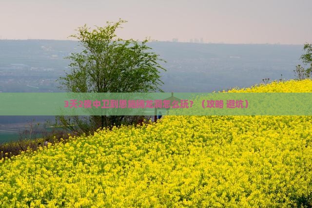 中卫到恩施腾龙洞个人游