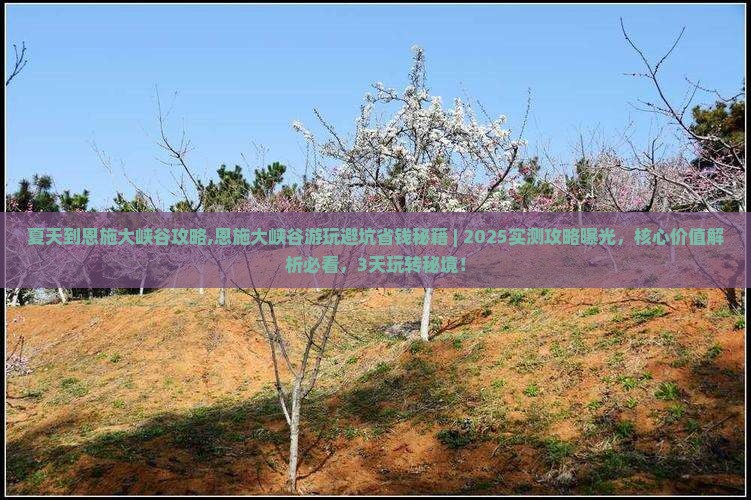 夏天到恩施大峡谷攻略