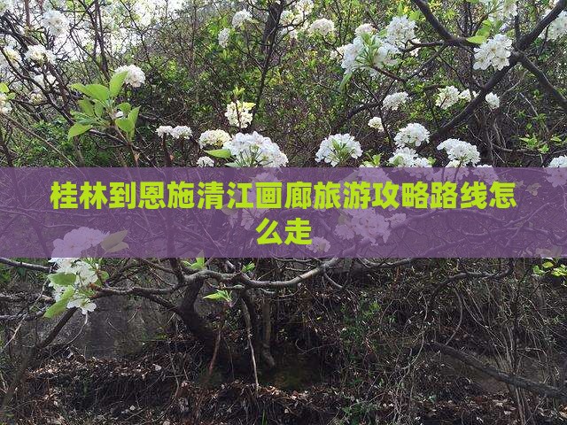 桂林到恩施清江画廊旅游