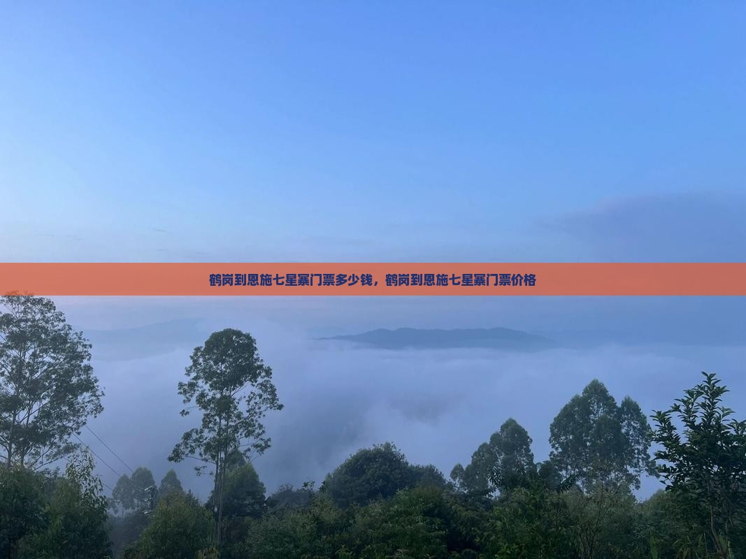 鹤岗到恩施七星寨门票