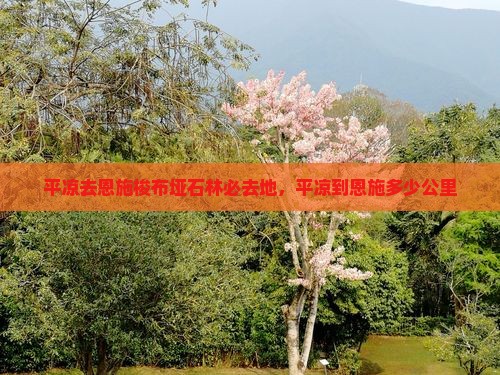 平凉去恩施梭布垭石林必去地