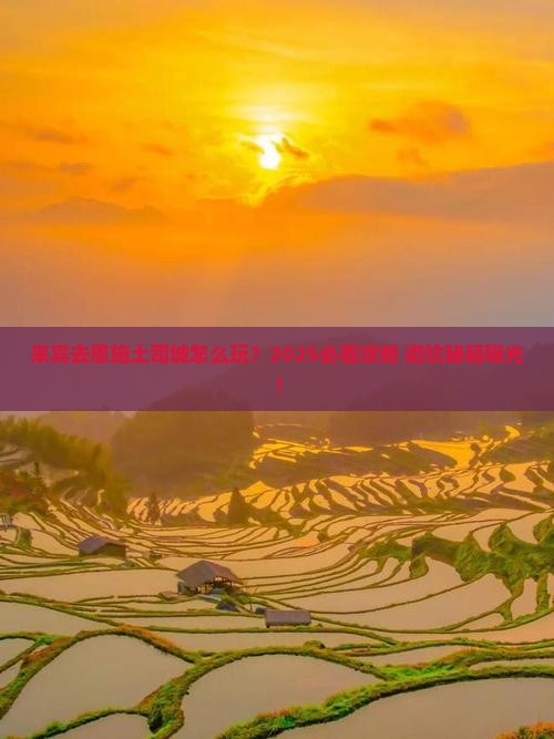 来宾到恩施土司城旅行社