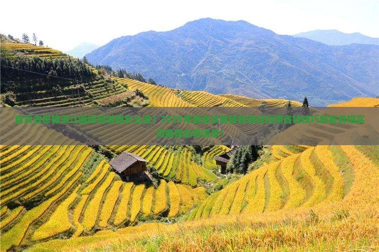 自贡去恩施清江画廊大型旅游团