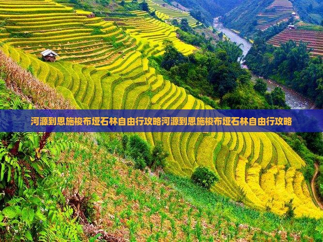 河源到恩施梭布垭石林自由行