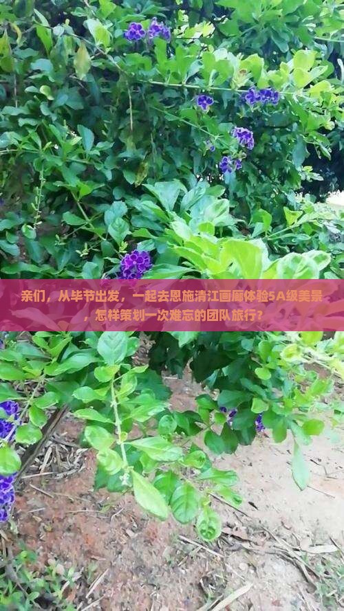毕节到恩施清江画廊团体旅游