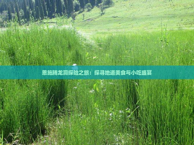 大庆去恩施腾龙洞旅游小吃