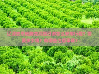辽源去恩施腾龙洞四日游