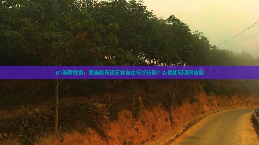 来宾到恩施梭布垭石林个人游
