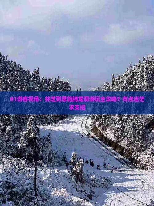 林芝去恩施腾龙洞哪里玩