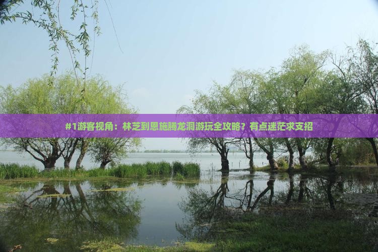 林芝去恩施腾龙洞哪里玩