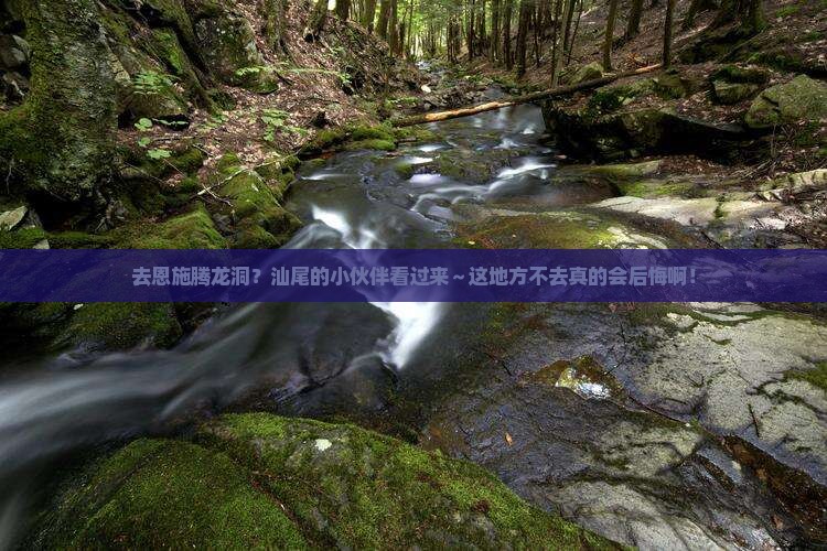 汕尾去恩施腾龙洞必去地