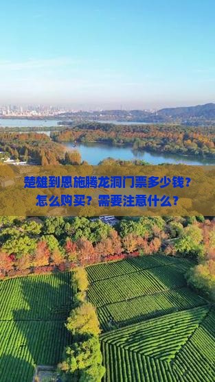 楚雄到恩施腾龙洞门票