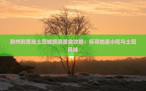 荆州到恩施土司城旅游小吃