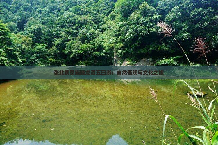 张北到恩施腾龙洞五日游