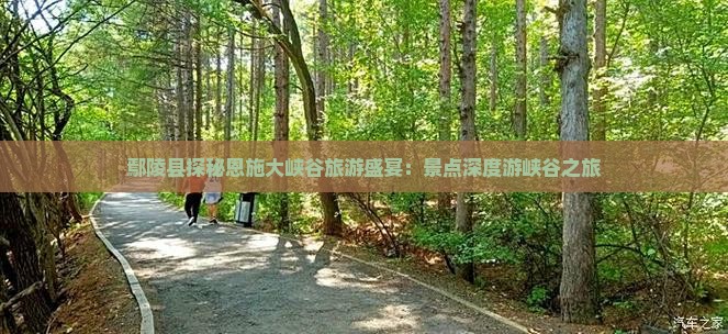 鄢陵县去恩施大峡谷自由团