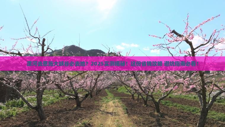 漯河去恩施大峡谷必去地
