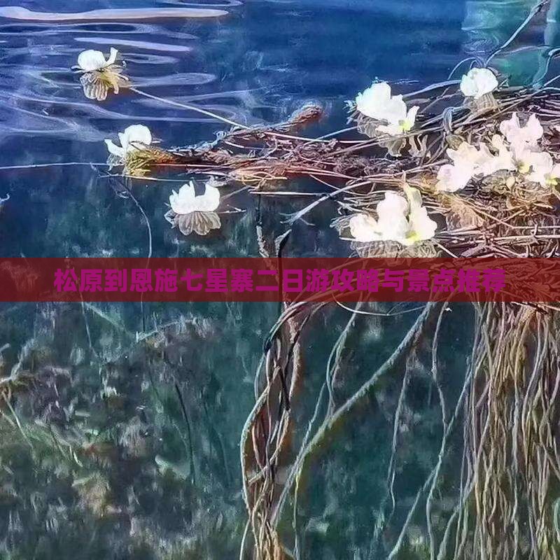 松原到恩施七星寨二日游
