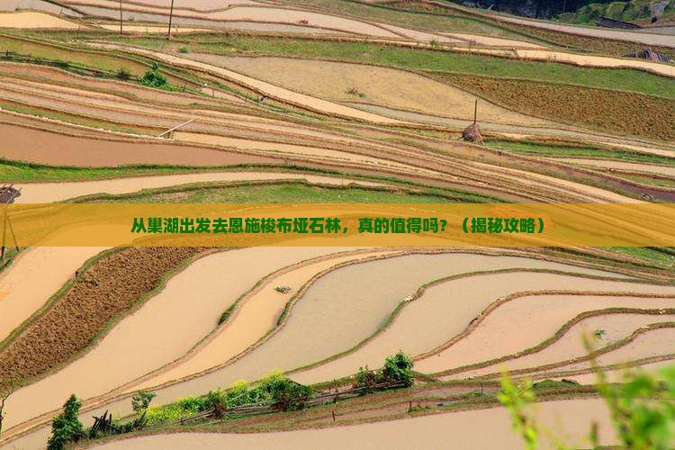 巢湖去恩施梭布垭石林景点