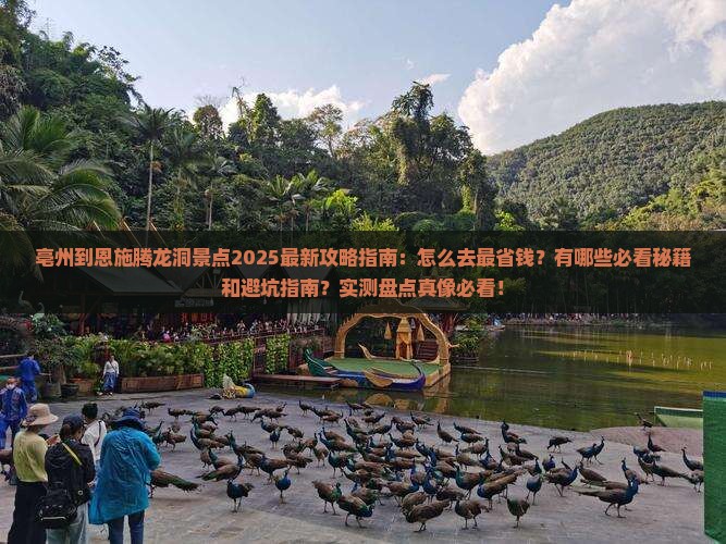 亳州到恩施腾龙洞景点