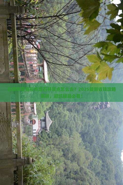 白银到恩施梭布垭石林景点