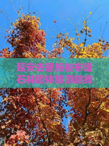 延安去恩施梭布垭石林团体旅游