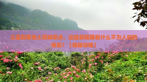 三亚到恩施土司城景点