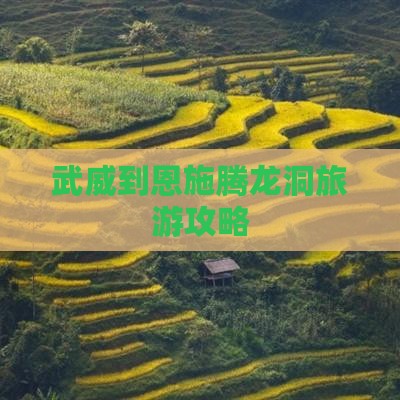 武威到恩施腾龙洞自由团
