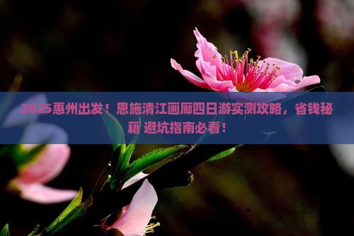 惠州去恩施清江画廊四日游