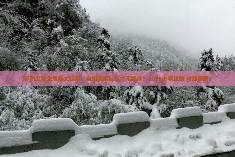 苏州到恩施大峡谷自由团