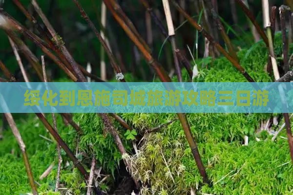绥化到恩施土司城三日游
