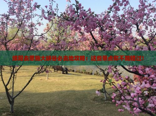 绵阳去恩施大峡谷必去地