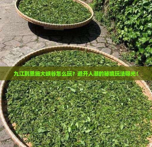 九江到恩施大峡谷哪里玩