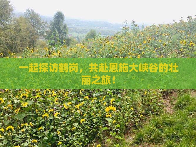 鹤岗去恩施大峡谷团体旅游
