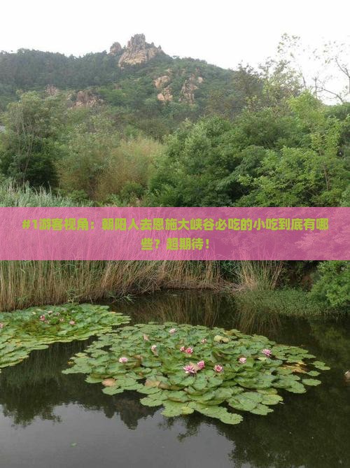 朝阳去恩施大峡谷旅游小吃