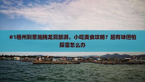 梧州到恩施腾龙洞旅游小吃