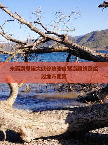 东莞到恩施大峡谷攻略