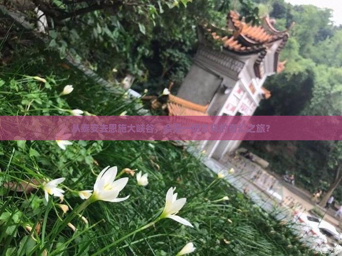 泰安到恩施大峡谷景点