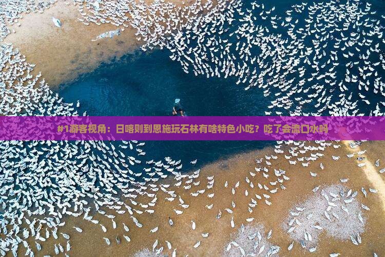 日喀则去恩施梭布垭石林旅游小吃