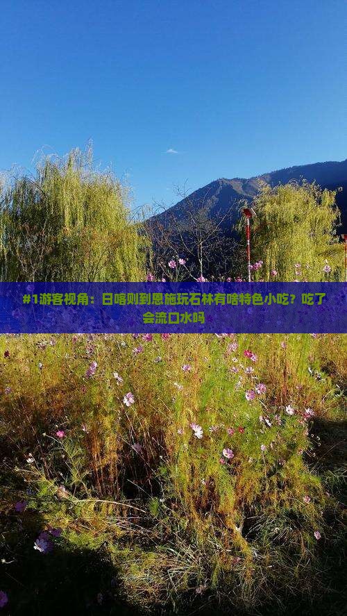 日喀则去恩施梭布垭石林旅游小吃