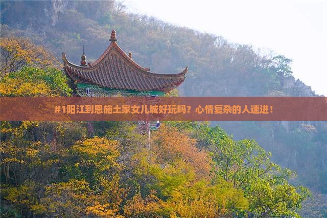 阳江去恩施土家女儿城景点