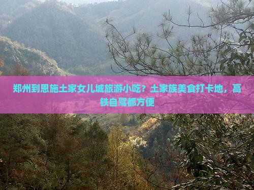 郑州到恩施土家女儿城旅游小吃