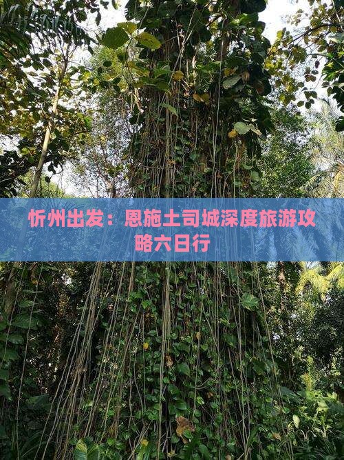 忻州去恩施土司城六日游