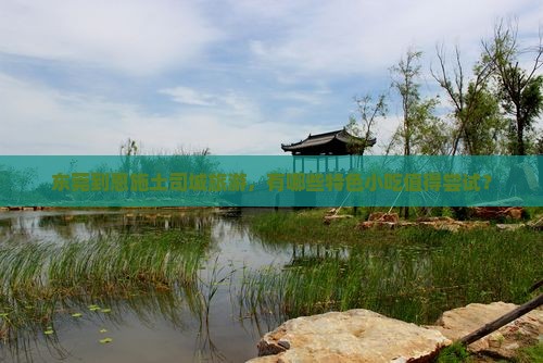 东莞到恩施土司城旅游小吃