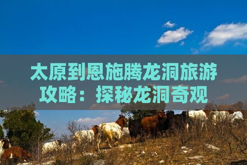 太原到恩施腾龙洞个人游