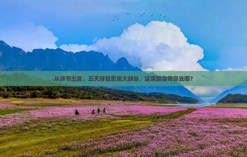毕节到恩施大峡谷五日游