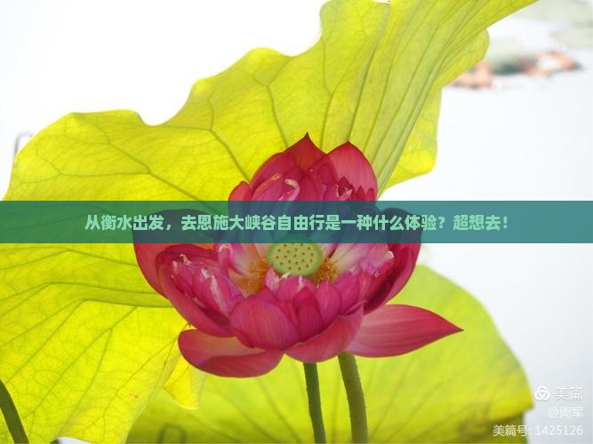 衡水到恩施大峡谷自由行