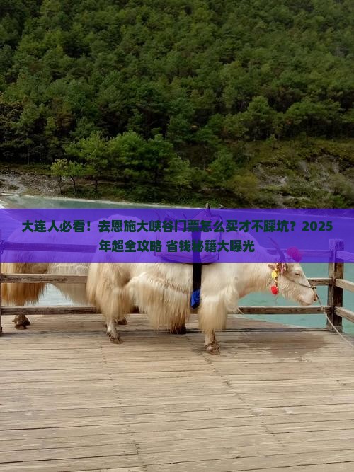 大连去恩施大峡谷门票