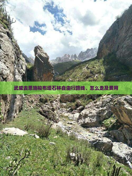 武威去恩施梭布垭石林自由行