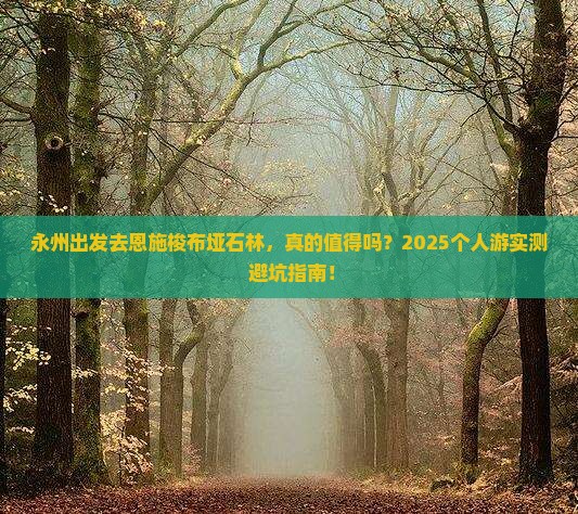 永州到恩施梭布垭石林个人游
